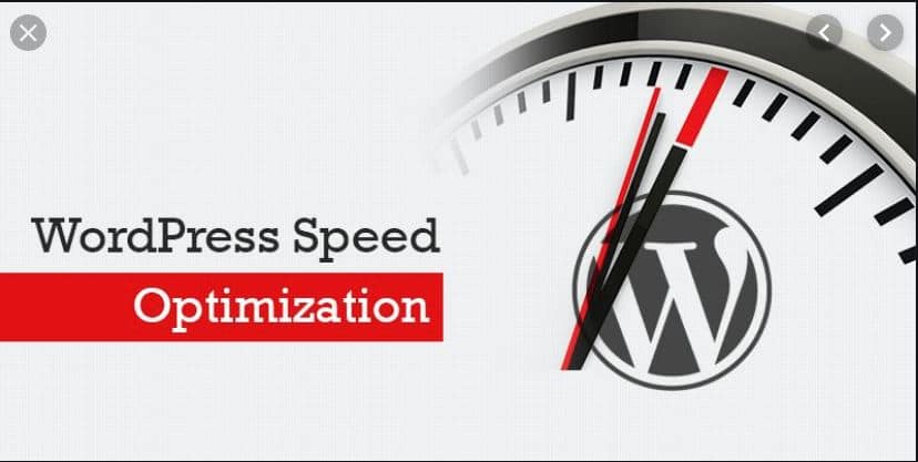 Wordpress Site Optimization